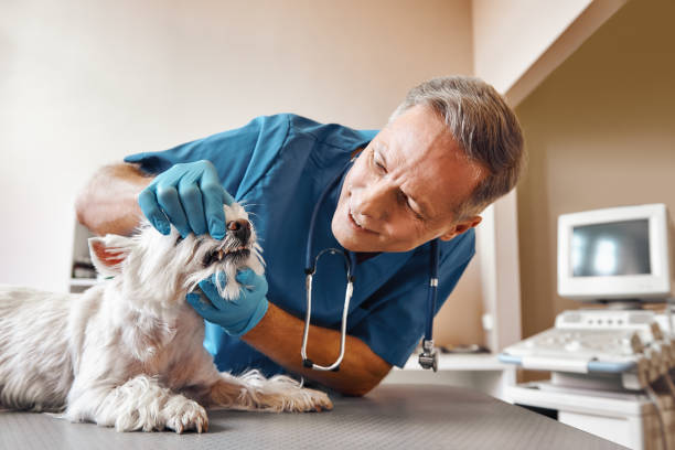 Best Weekend Emergency Dentist in Berkley, MI