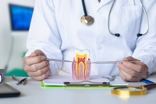 Best Broken or Cracked Tooth Emergency Dentist in Berkley, MI